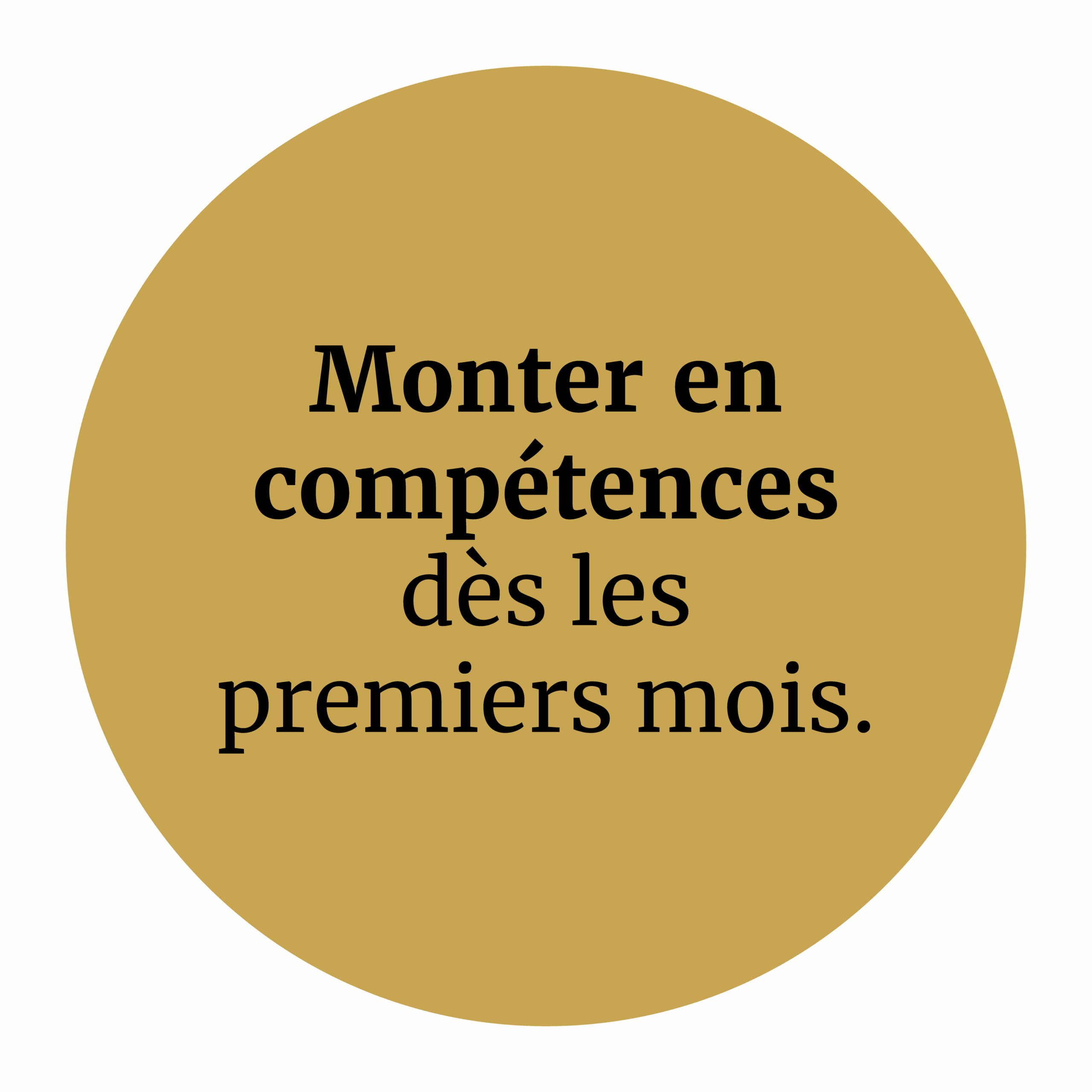 Plan de travail 1_2@4x